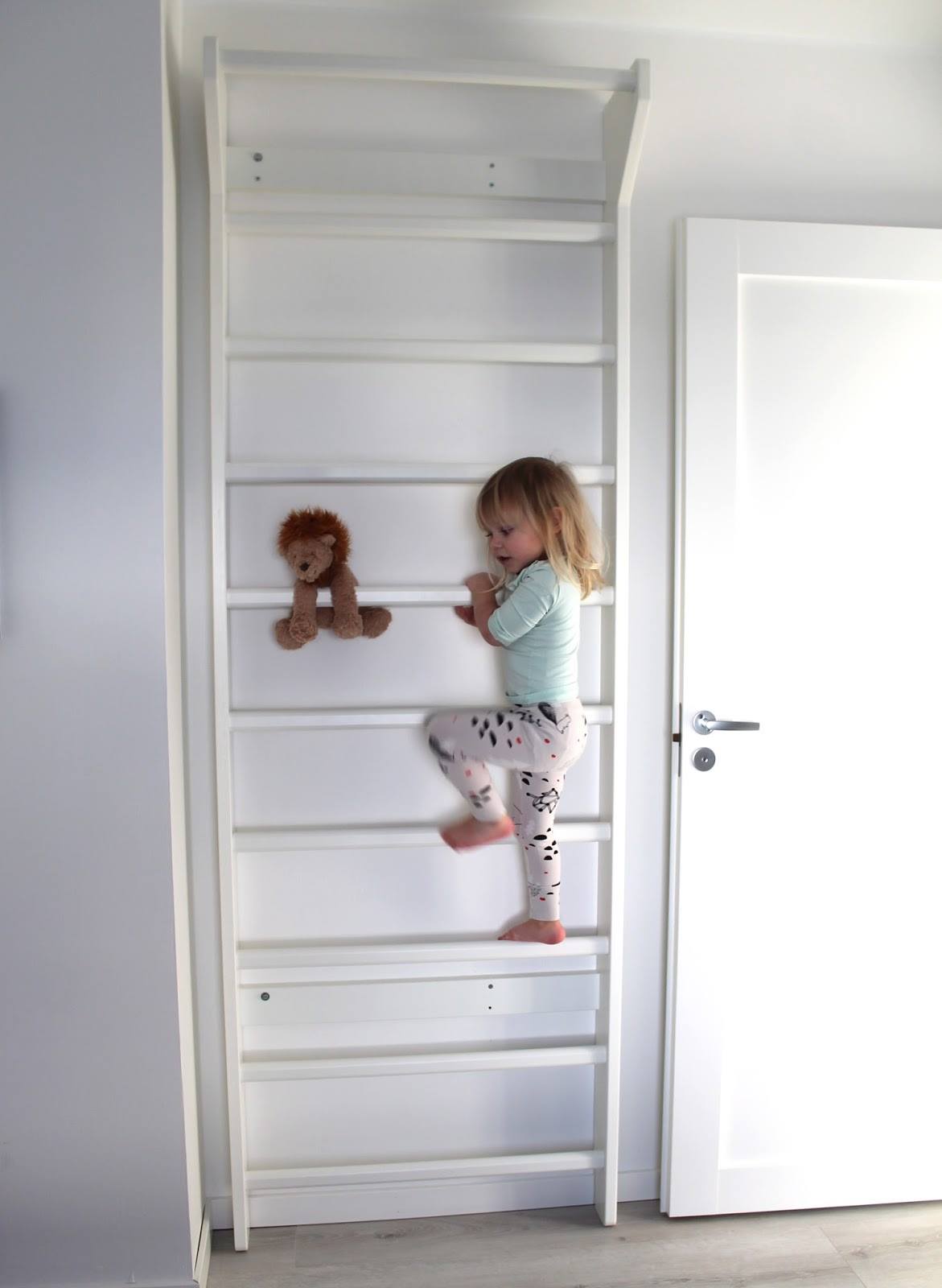 Sprossenwand + Trainingszubehör