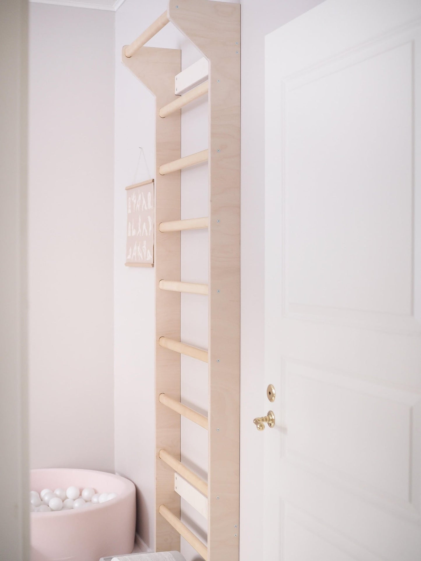 Sprossenwand + Trainingszubehör