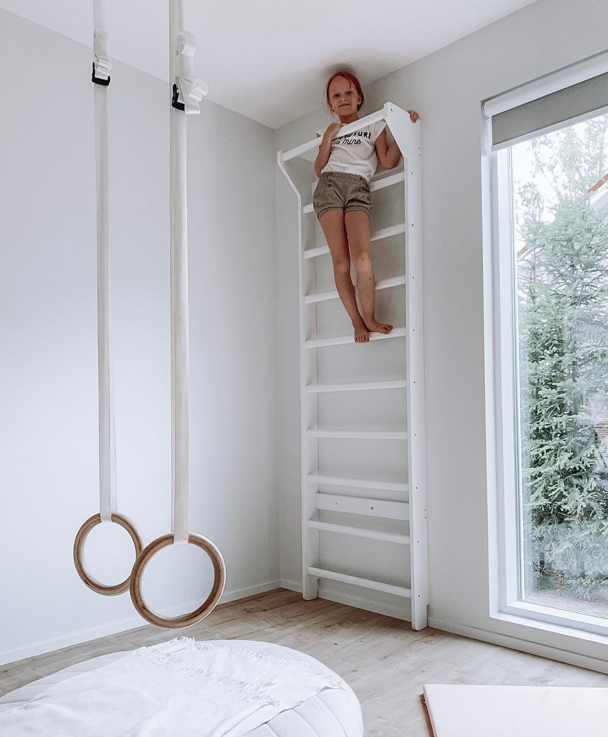 Sprossenwand + Trainingszubehör