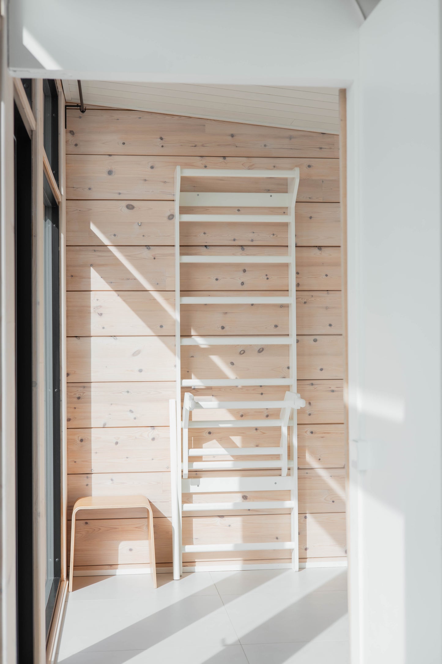 Sprossenwand + Trainingszubehör