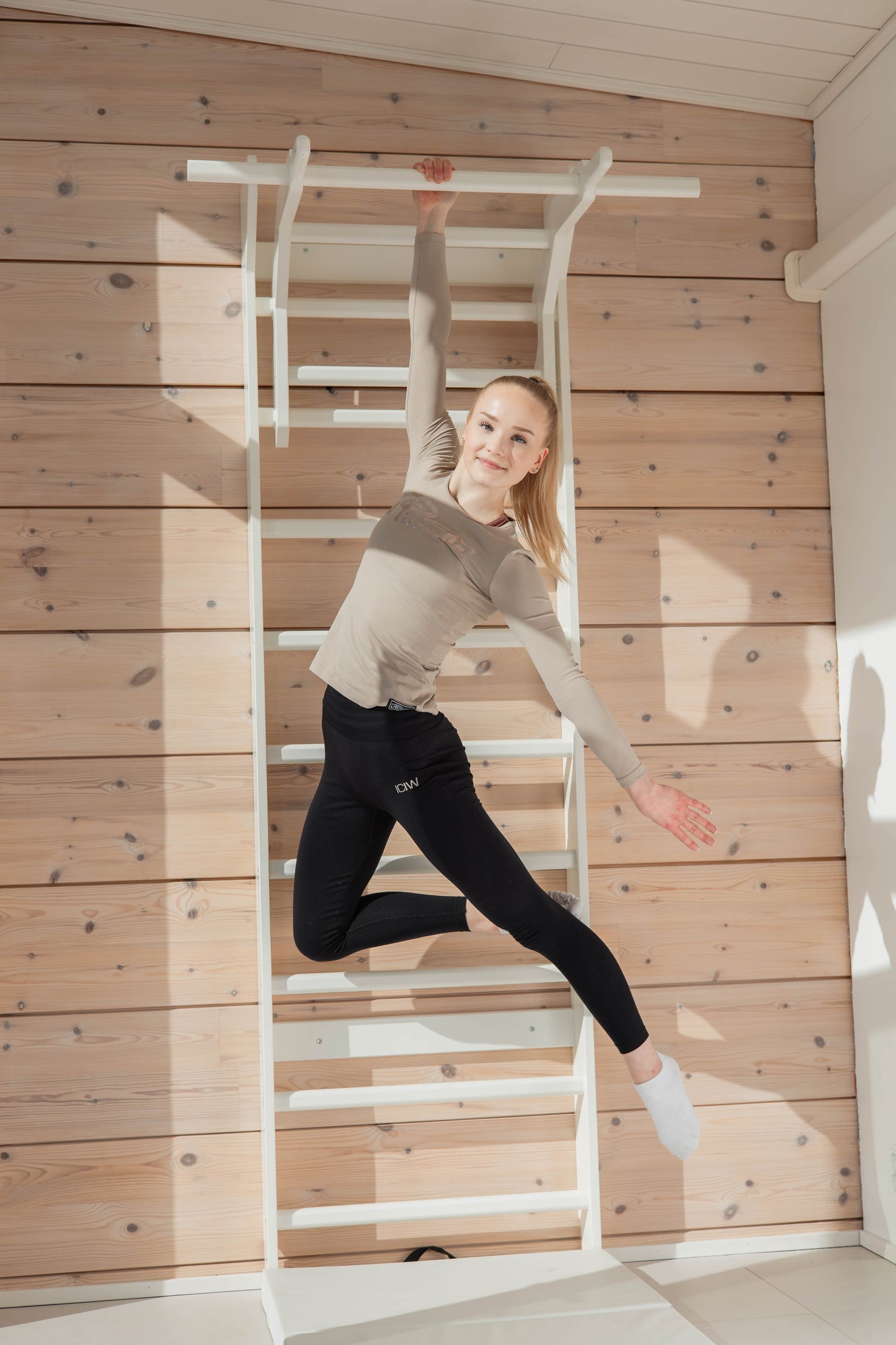 Sprossenwand + Trainingszubehör