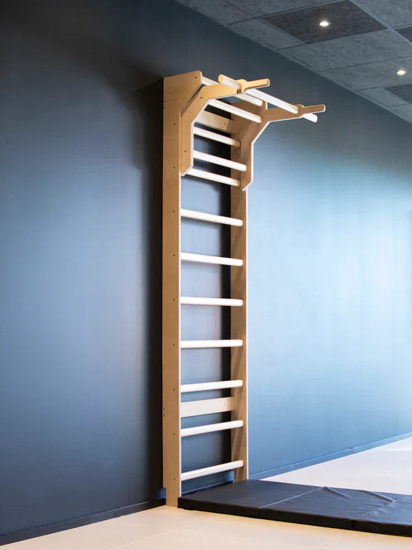 Sprossenwand + Trainingszubehör